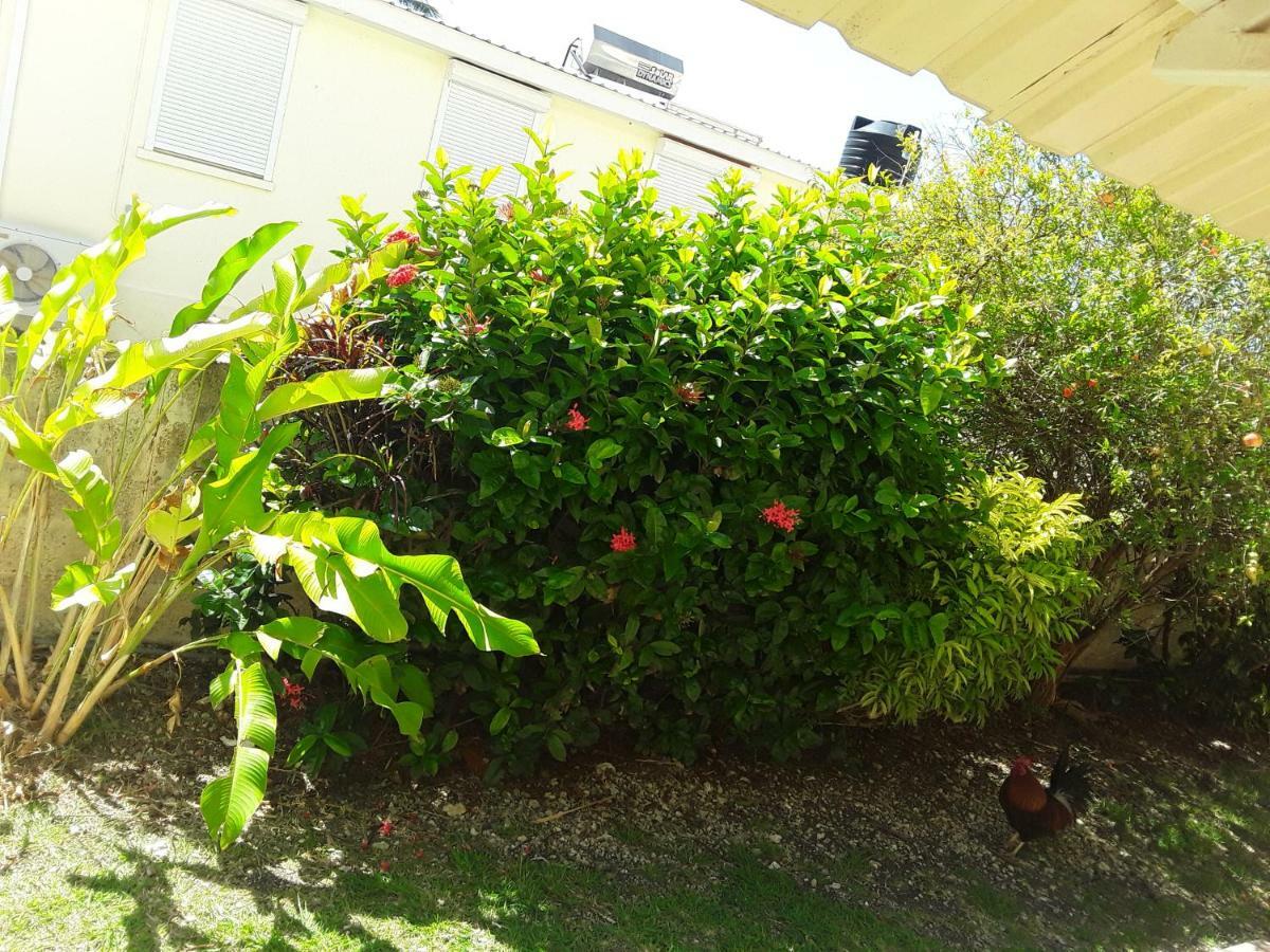 Carib Blue Apartments Oistins Exterior foto